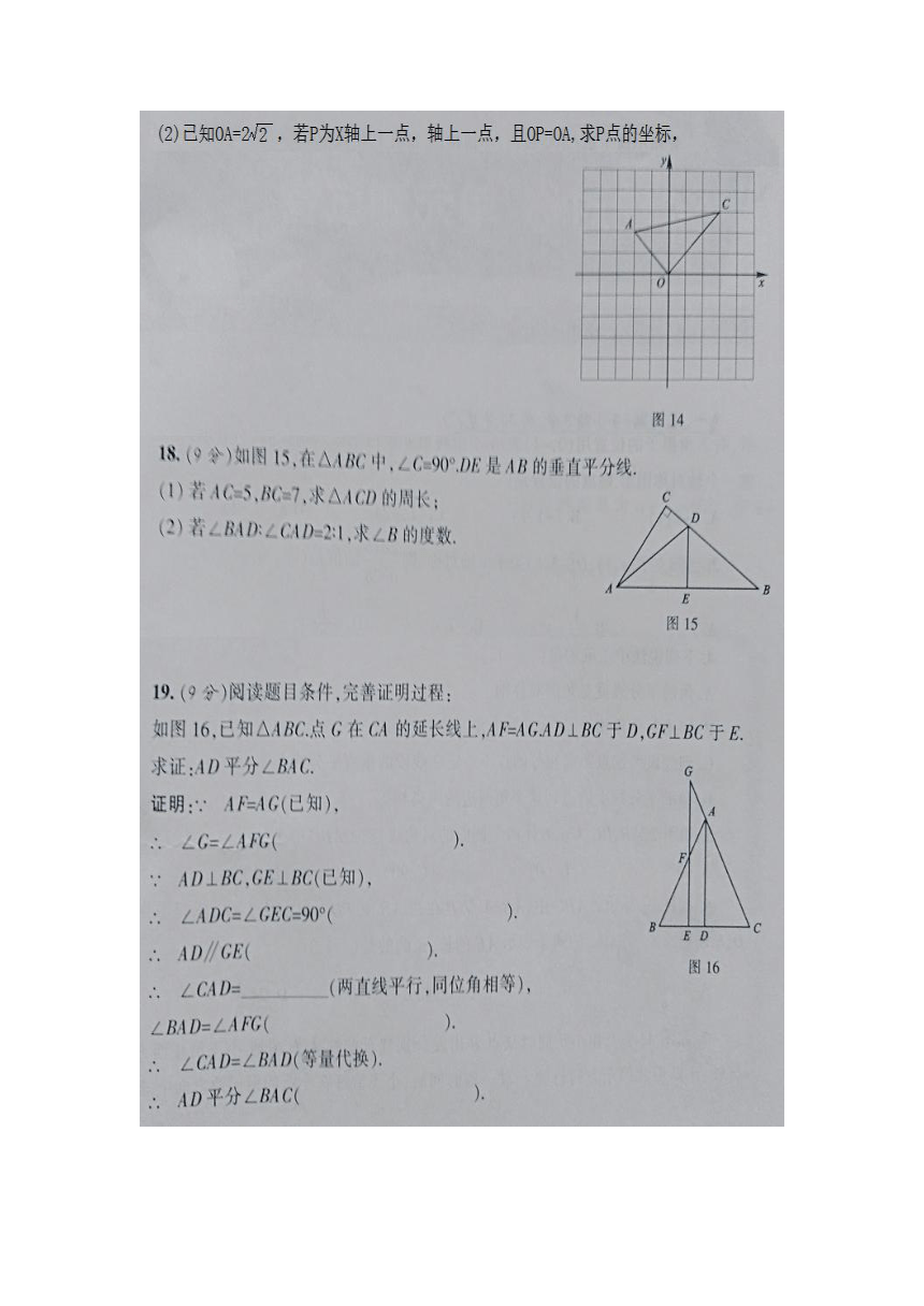 湖北省恩施土家族苗族自治州利川市凉雾乡民族初级中学2021-2022学年八年级数学上册11月测试题（图片版 含答案）