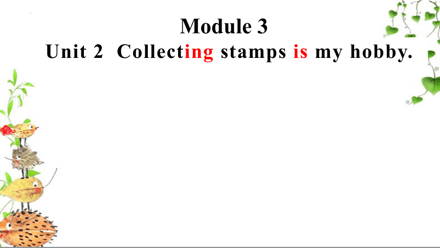 Module 3 Unit 2 Collecting stamps is my hobby 课件(共30张PPT)