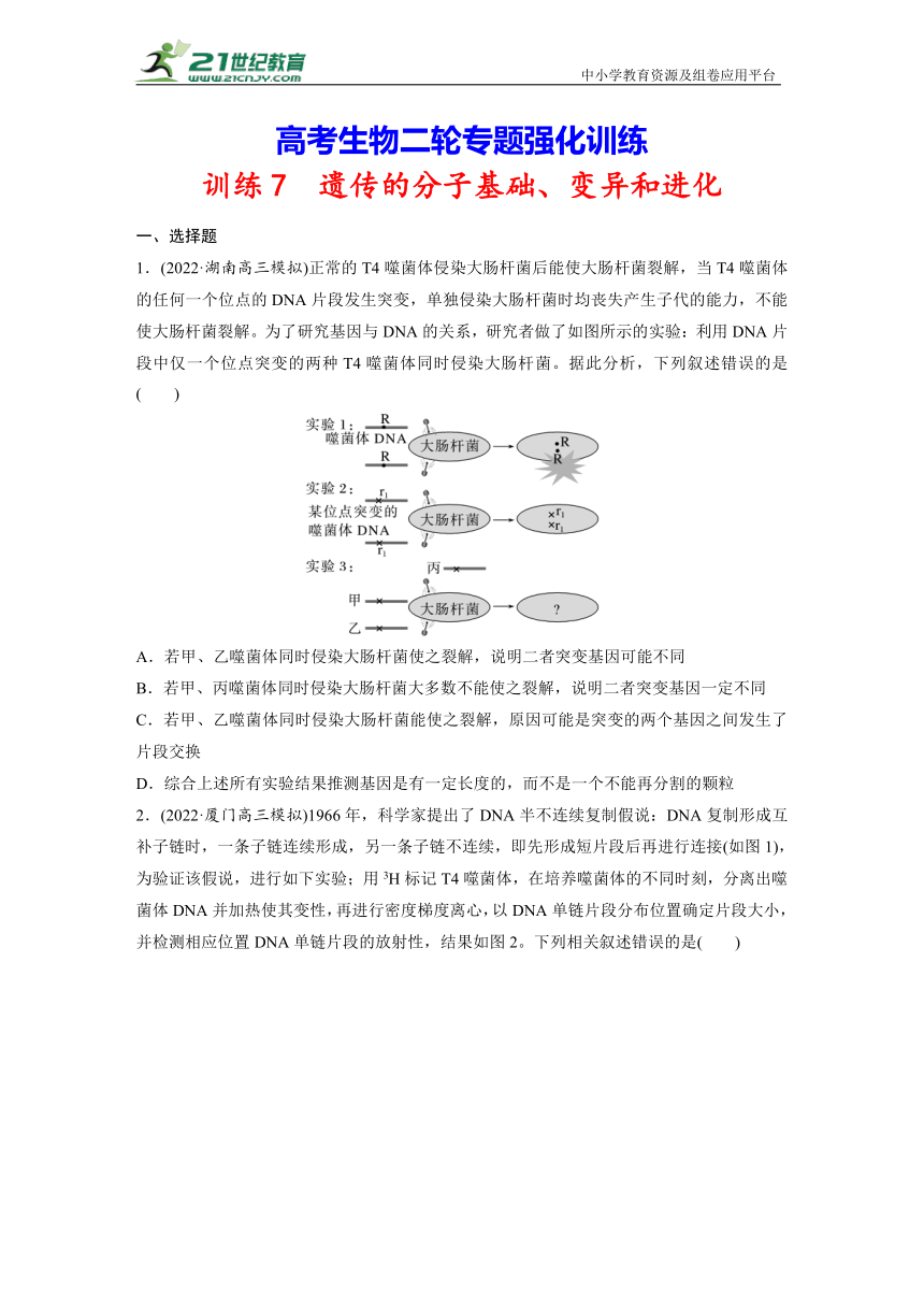 高考生物二轮专题强化训练7　遗传的分子基础、变异和进化（含解析）