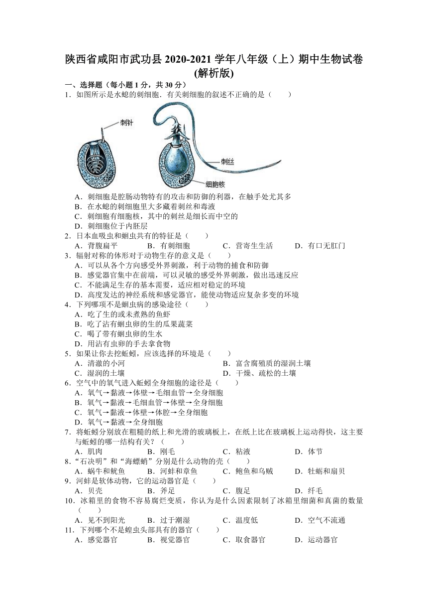 陕西省咸阳市武功县2020-2021学年上学期八年级期中生物试卷 (word版含解析）