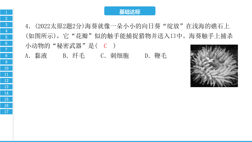 第一章　动物的主要类群-2023年中考生物复习习题课件(共24张PPT)