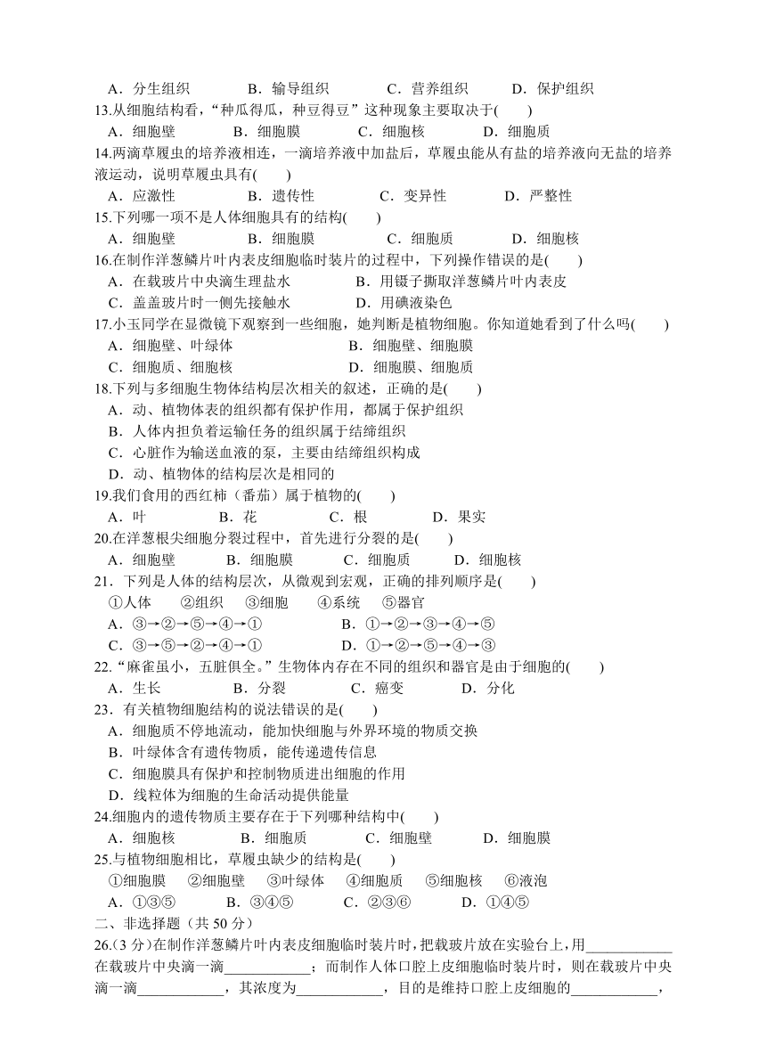 济南版生物七上：第一单元 第二章 观察生物结构 基础达标检测卷（含解析）