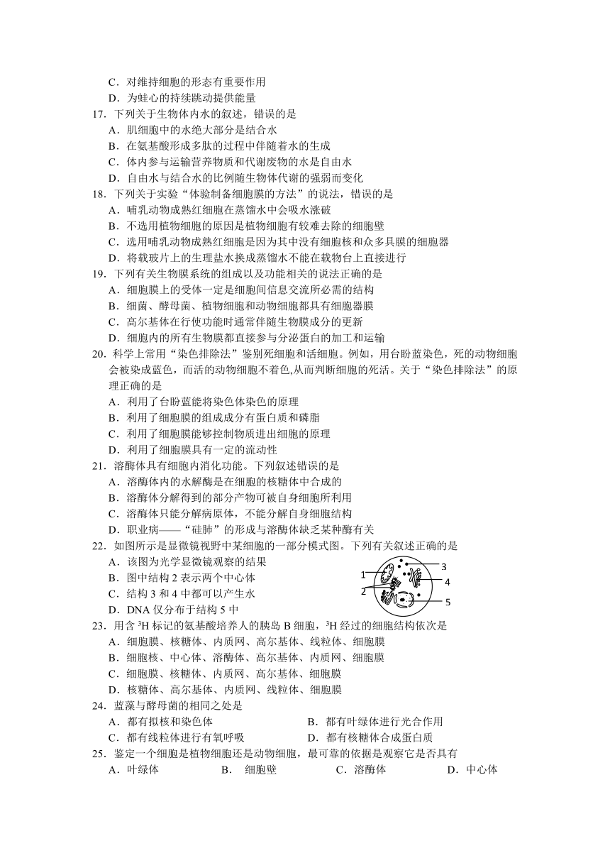 四川省绵阳市第一高级中学2021-2022学年高一上学期期中教学质量测试生物试卷（Word版含答案）