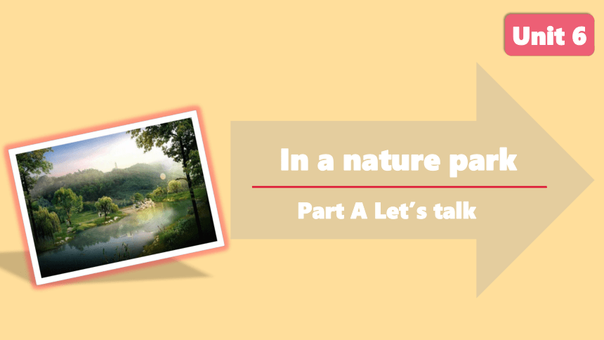 Unit 6 In a nature park A Let’s talk课件(共29张PPT)