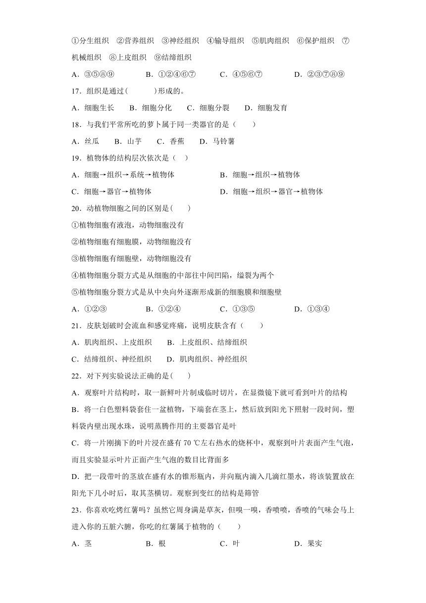 人教版生物七年级上第二单元第二章《细胞怎样构成生物体》测试题（word版含答案）