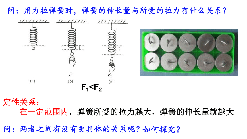 2021-2022学年沪科版物理八年级6.3弹力与弹簧测力计 课件(共21张PPT)