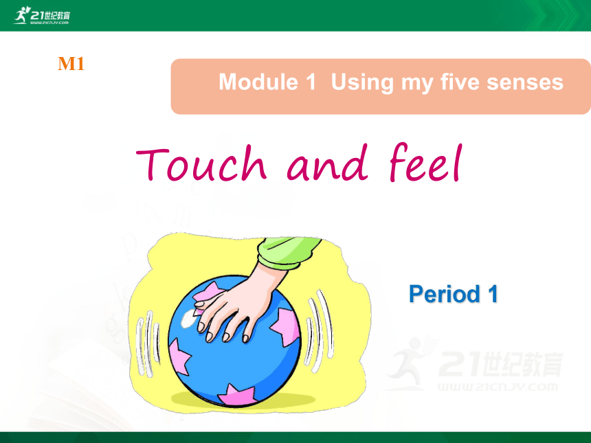 Unit 1 Touch and feel 课件