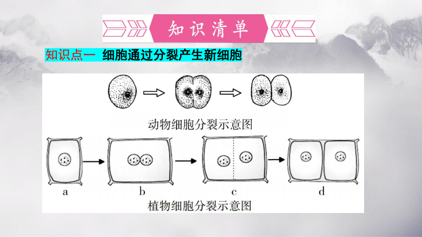 第二单元+第二章+细胞怎样构成生物体-【复习旧知】2022-2023学年七年级生物上册复习课件（人教版）(共68张PPT)