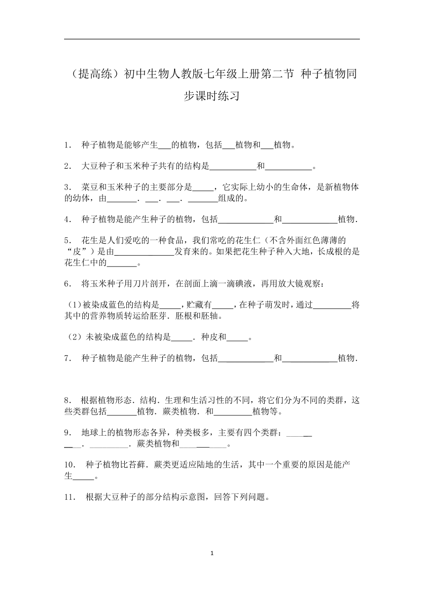 初中生物人教版七年级上册第二节 种子植物课时练习（word版 含答案）