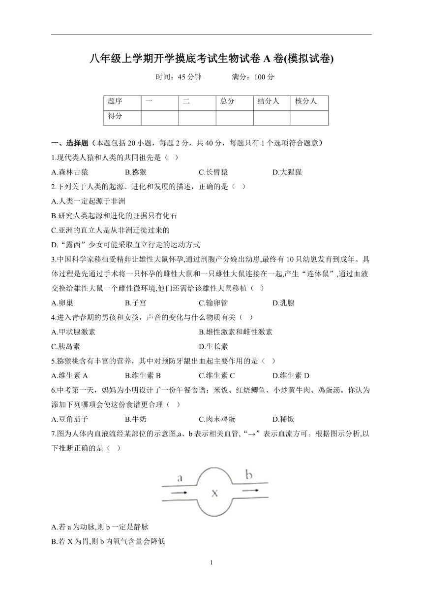 2022-2023学年人教版八年级上学期开学摸底考试生物试卷A卷(word版  含答案）