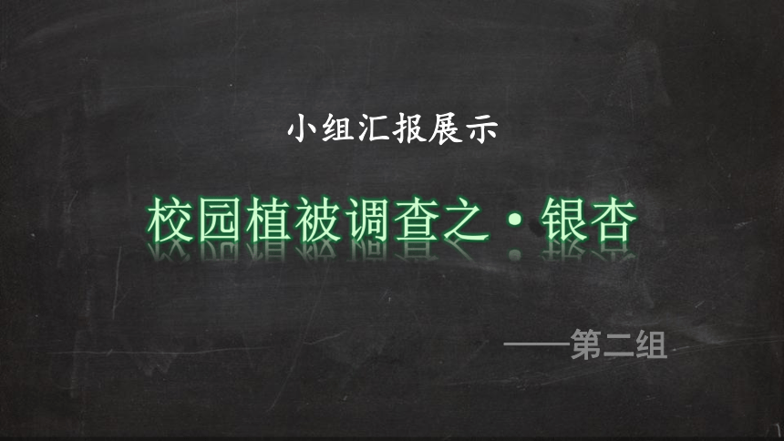 2.7  植被与自然地理环境的关系  课件（共38张幻灯片）