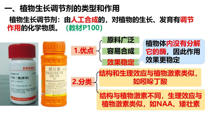 生物人教版（2019）选择性必修1 5.3植物生长调节剂的应用（共27张ppt）
