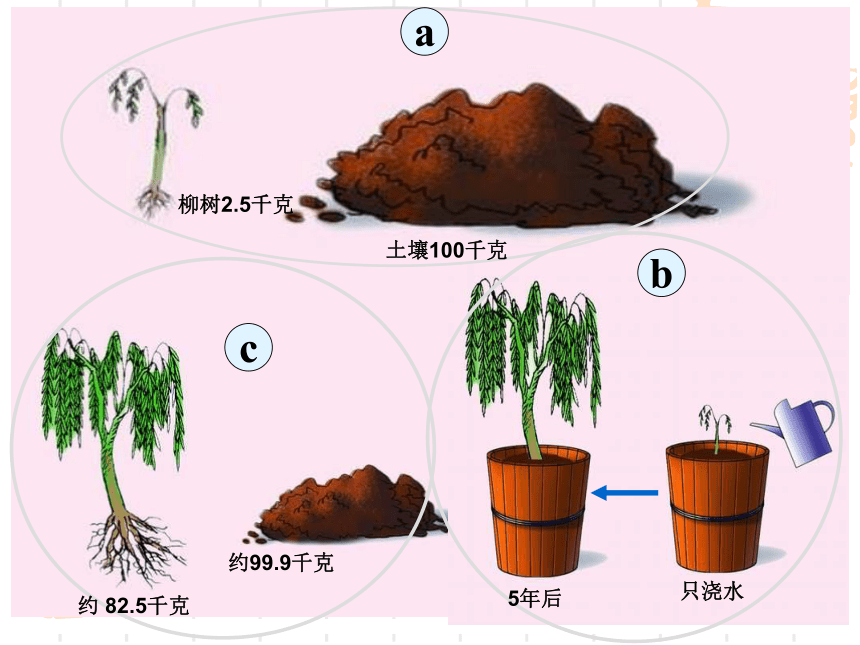 第一节 植物光合作用的发现 课件（24张PPT）