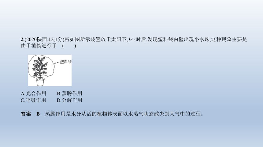 2023年中考生物复习专题★★　绿色植物的三大作用(共142张PPT)