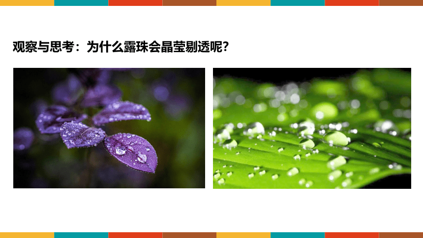 4.2全反射课件 (共27张PPT) 高二下学期物理人教版（2019）选择性必修第一册