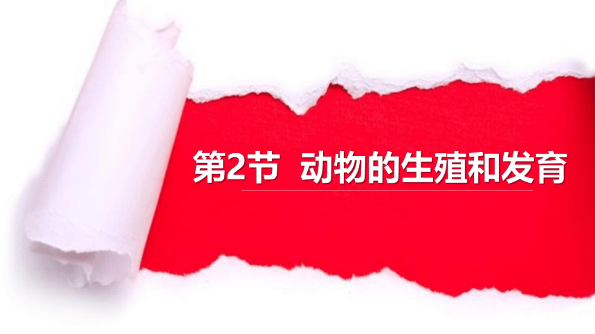 第二节 动物的生殖和发育 课件（23张PPT）