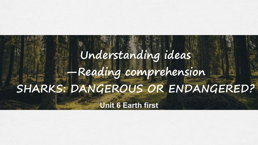 外研版（2019）必修第二册Unit 6 Earth first　Understanding ideas  课件(共31张PPT)