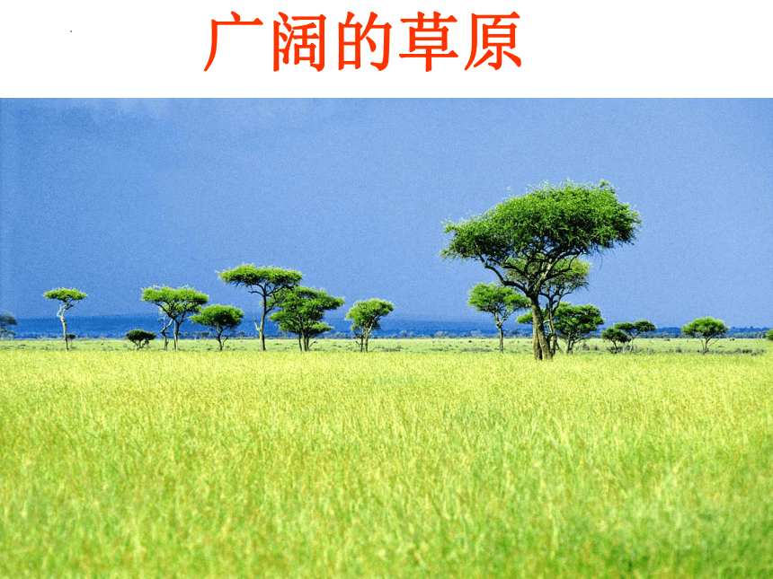 8.3撒哈拉以南非洲──黑种人的故乡课件(共63张PPT)2022-2023学年人教版地理七年级下册