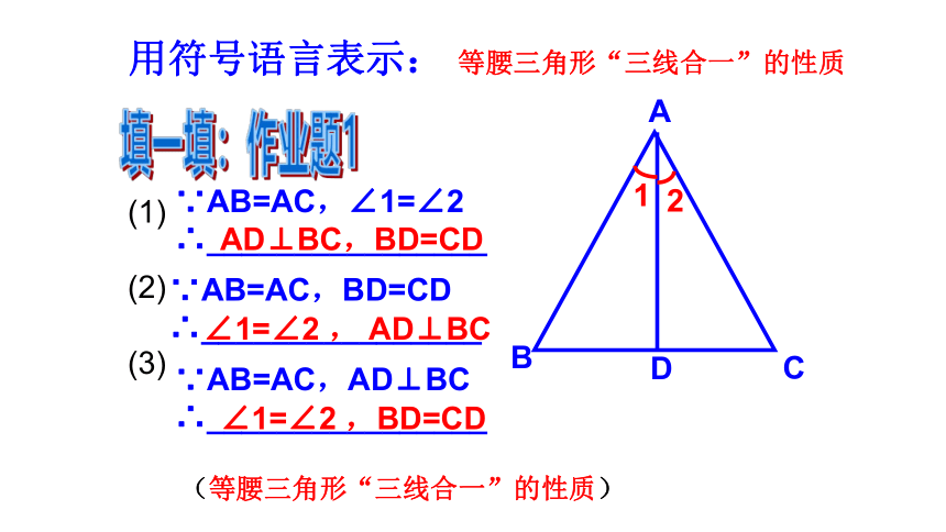 浙教版八年级上册2.3等腰三角形的性质定理课件(共21张PPT)