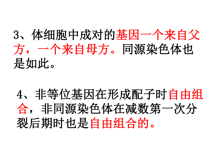 2020-2021学年高一下学期生物人教版必修二2.2基因在染色体上课件 （30张ppt）