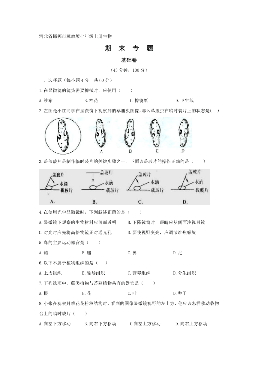 【期末复习】生物七年级上册  期末模拟卷（基础卷）（原卷+答案+答题纸）