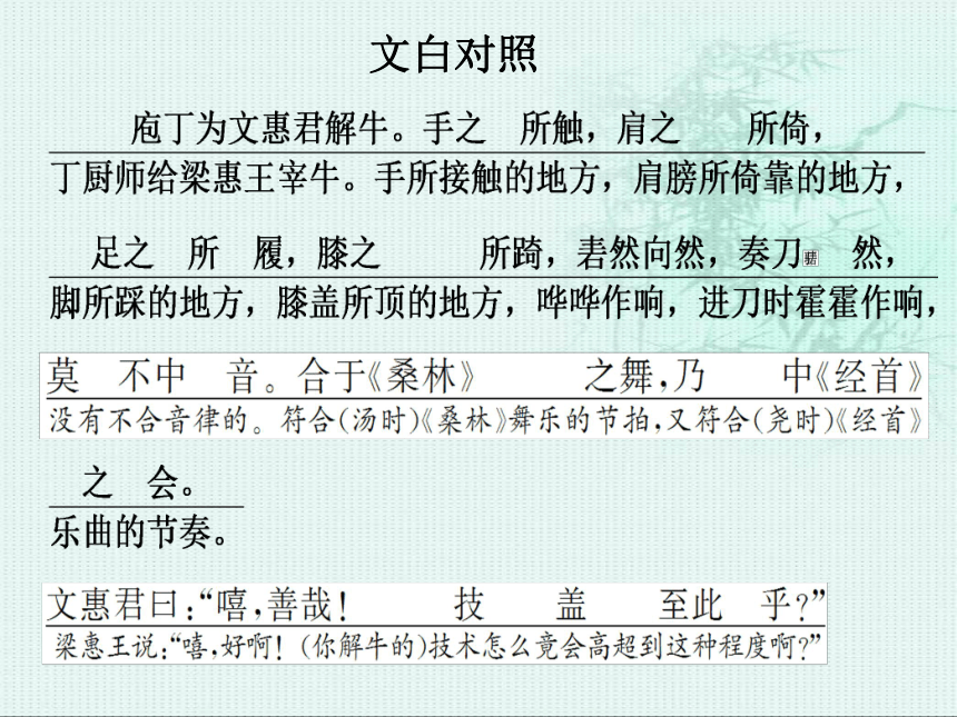 2021-2022学年统编版高中语文必修下册1.3《庖丁解牛》（课件20张+音频）