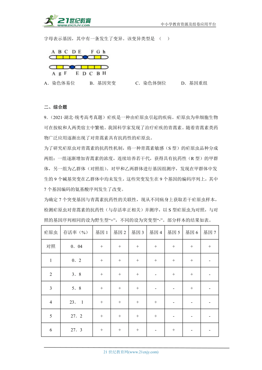 五年2018-2022高考生物真题按知识点分类汇编45-基因重组、DNA分子上的碱基（含解析）