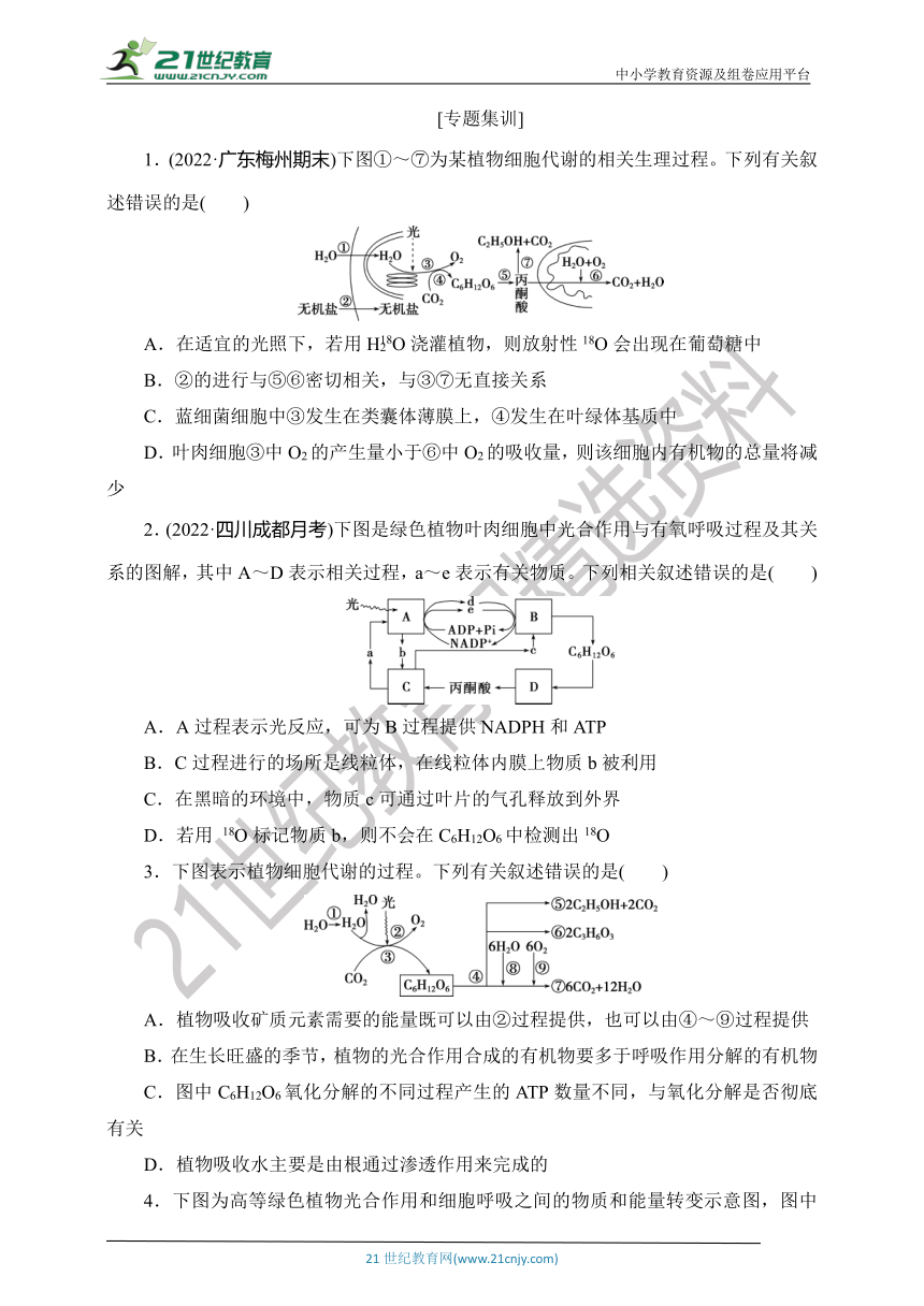 【考点梳理  生物总复习 】17微专题3　光合作用与细胞呼吸过程及物质和能量的联系（Word版含答案）