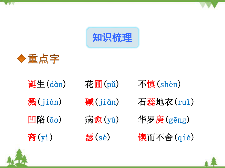 15真理诞生于一百个问号之后 课件（共31张PPT）