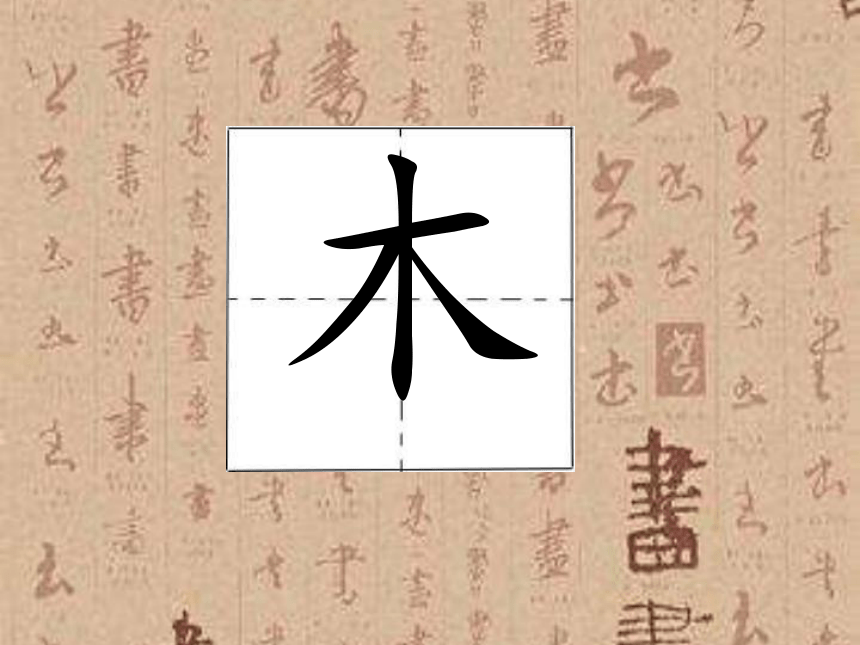 北师大版书法四年级上册第7课 木字旁 课件（16张PPT）