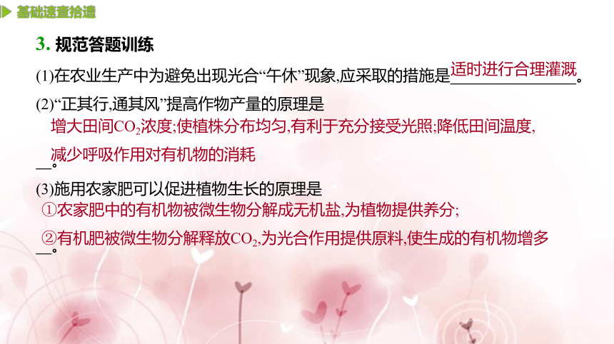 【二轮专题复习课件】第4讲　光合作用与细胞呼吸(共89张PPT)