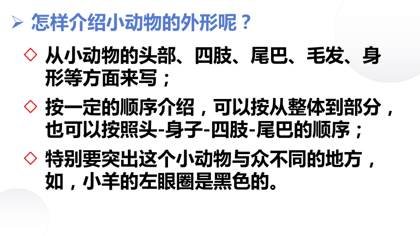 部编版语文四年级下册习作：我的动物朋友 课件 (共28张PPT)