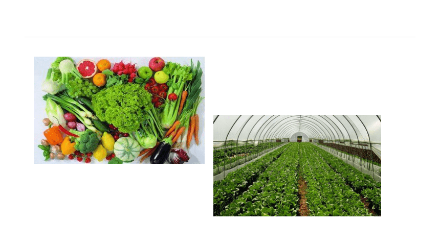 2.2.3设施环境的调控—光环境特点与调控 课件(共18张PPT)-《蔬菜生产技术》同步教学（中国农业出版社）