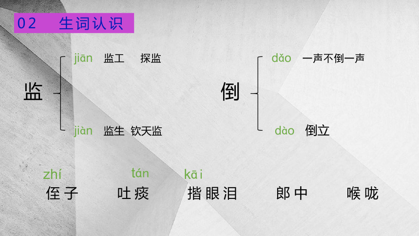 13人物描写一组 两茎灯草课件(共18张PPT)