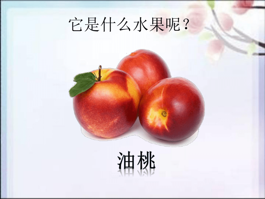 粤教粤科版（2017秋）一年级上册2.6美味的水果  （课件16ppt）