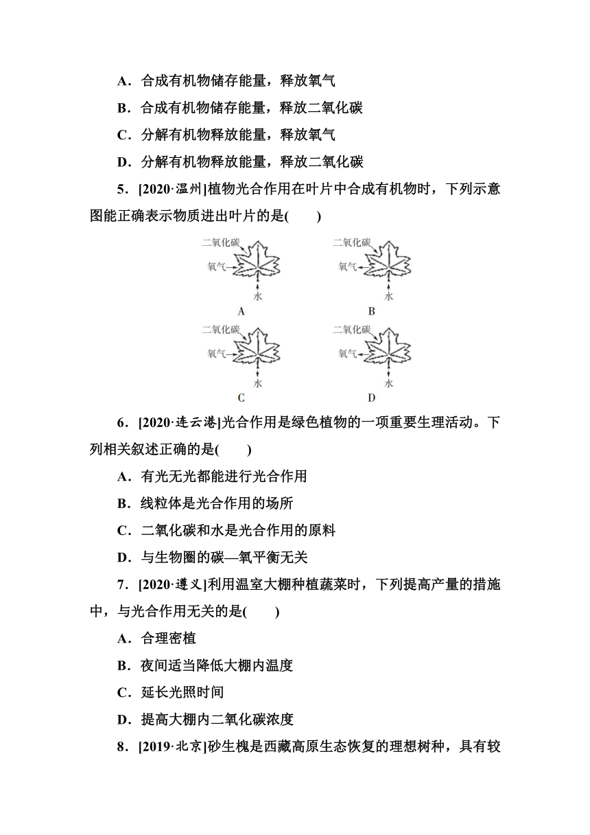 2021年湖南省中考生物分层练习：植物的光合作用（word版含答案）