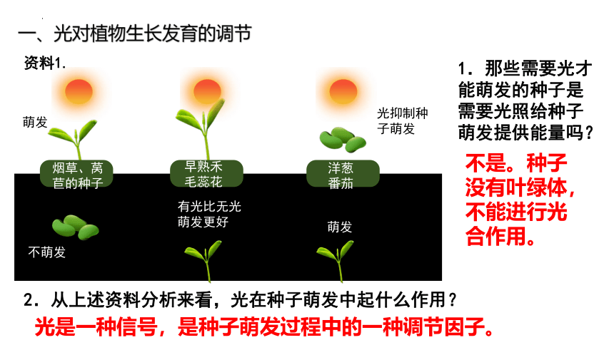 生物人教版（2019）选择性必修1 5.4环境因素参与调节植物的生命活动（共23张ppt）