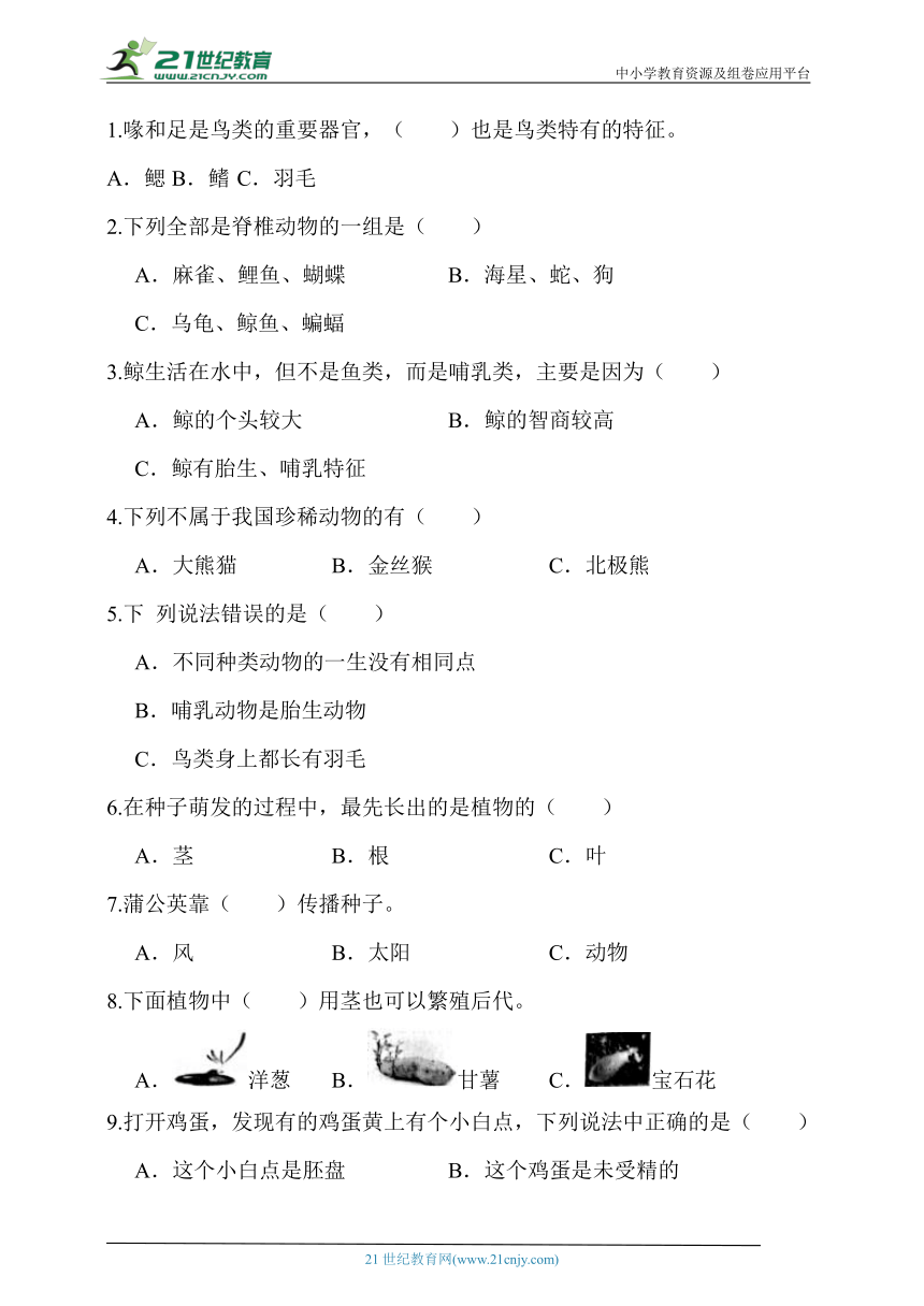 人教鄂教版四年级科学上册期中模拟试卷（含答案）