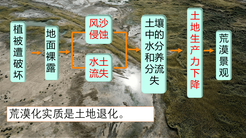 地理湘教版（2019）选择性必修2 2.4生态脆弱区的综合治理—以我国荒漠化地区为例（共54张ppt）