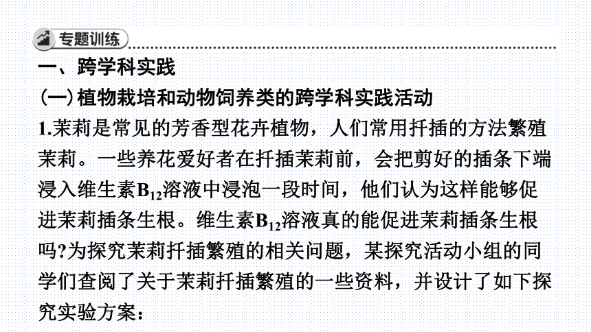 2024年人教版八年级生物全册复习课件(共39张PPT)  科学探究与跨学科实践