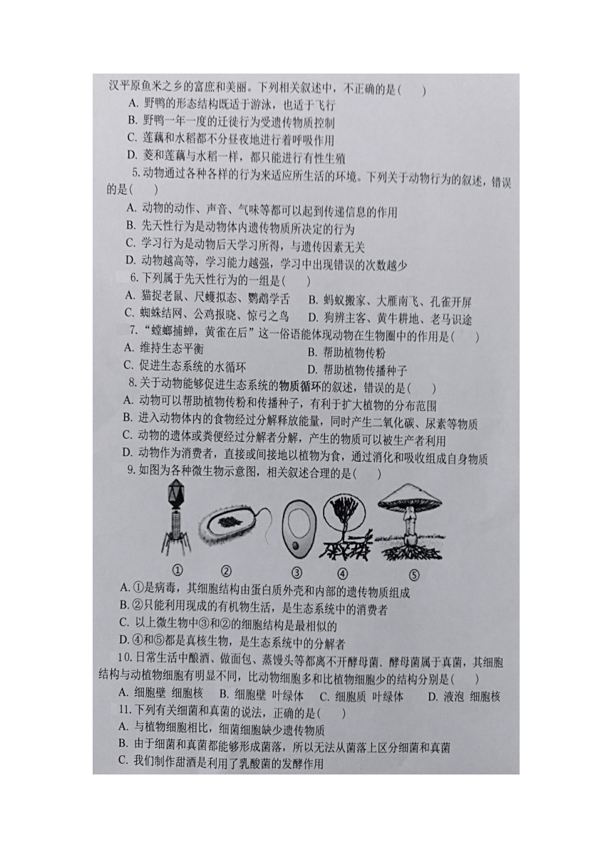 湖北省恩施龙凤初中2021-2022学年上学期八年级第一阶段检测生物试题（含答案）