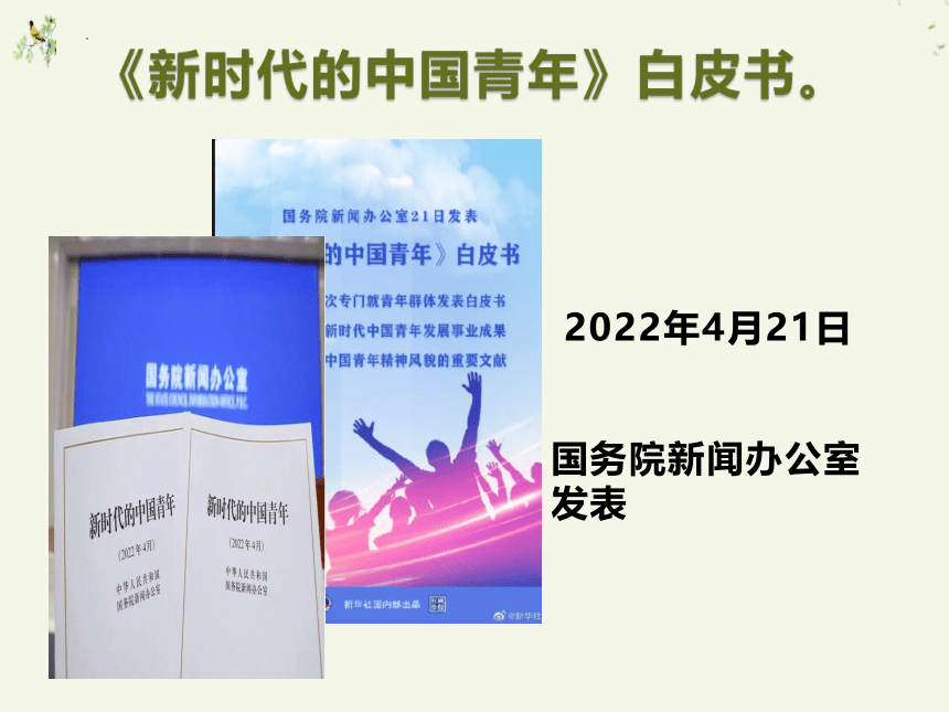 2023届高考作文复习： 青年白皮书与高考作文  课件(共27张PPT)