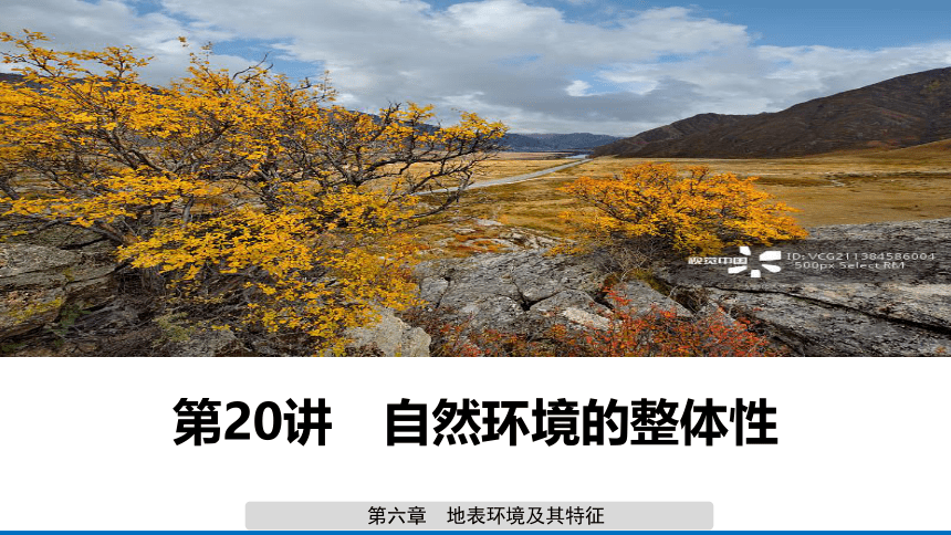 第20讲 自然地理环境的整体性课件(共143张PPT)