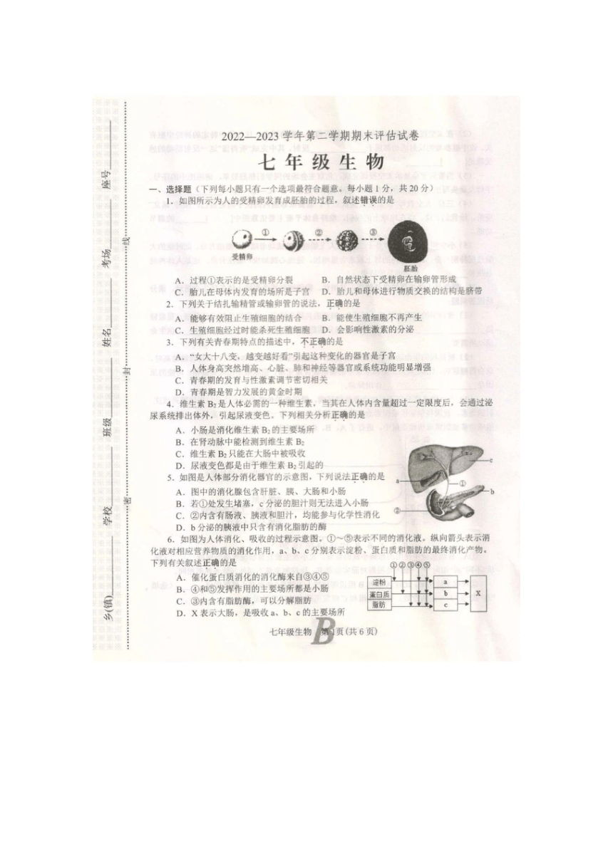 河南省平顶山市宝丰县2022-2023学年七年级下学期6月期末生物试题（图片版含答案）