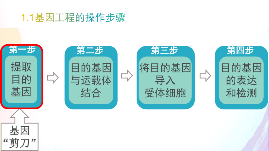 2.6.2 基因工程及其应用（课件共35张PPT）