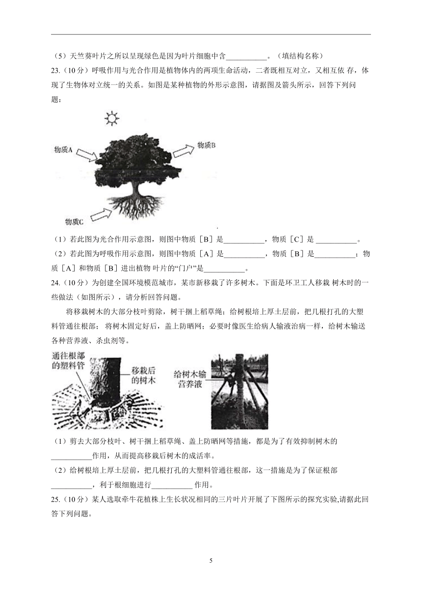 第三单元第三-六章同步练习(word版含解析） 2022-2023学年人教版生物七年级上册