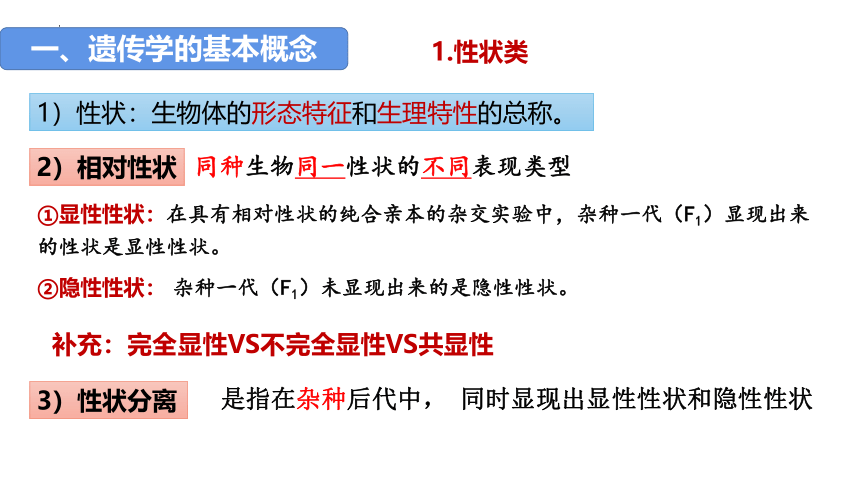 1.1孟德尔的豌豆杂交实验（一）课件-(共54张PPT)人教版（2019）必修2