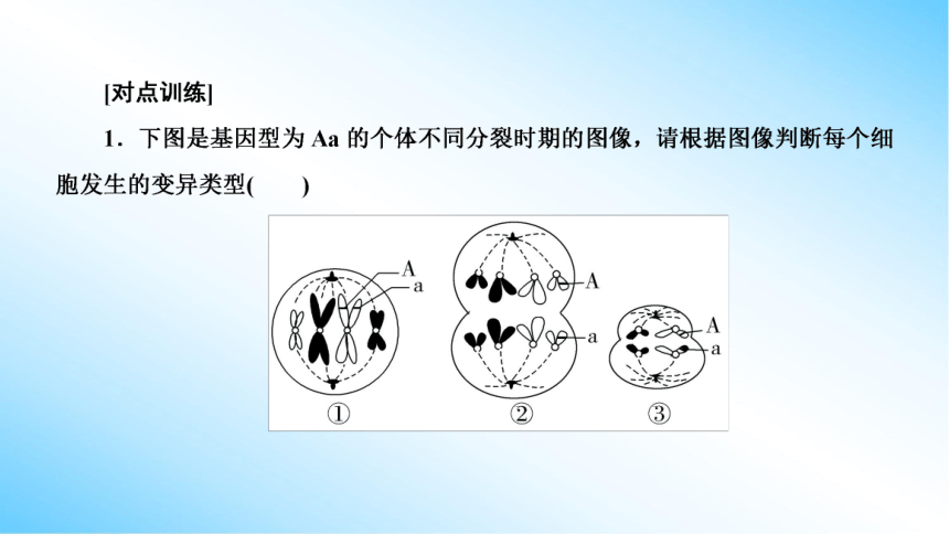 【课件版学案】第5章(微专题2) 基因突变和基因重组类型的判断  人教版2019必修2(共18张PPT)