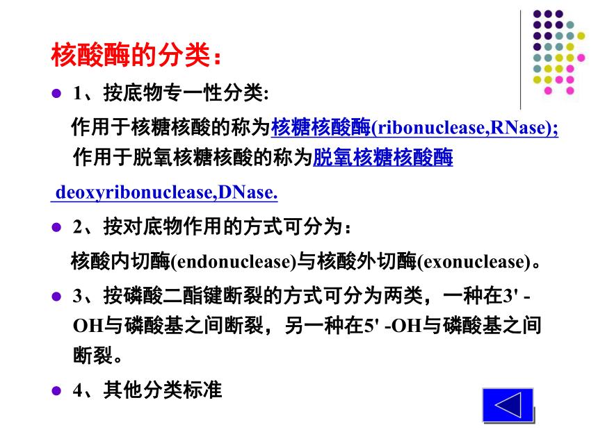 2020-2021学年高中生物竞赛核酸的物理化学性质课件 (36张PPT）