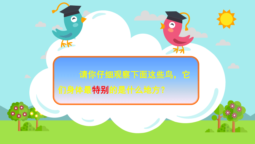 人美版（北京） 二年级下册美术课件 第3课 羽毛的鸟（漂亮的鸟）（15张PPT）